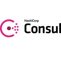 Consul 开发工具